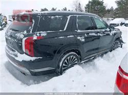 هيونداي باليسيد